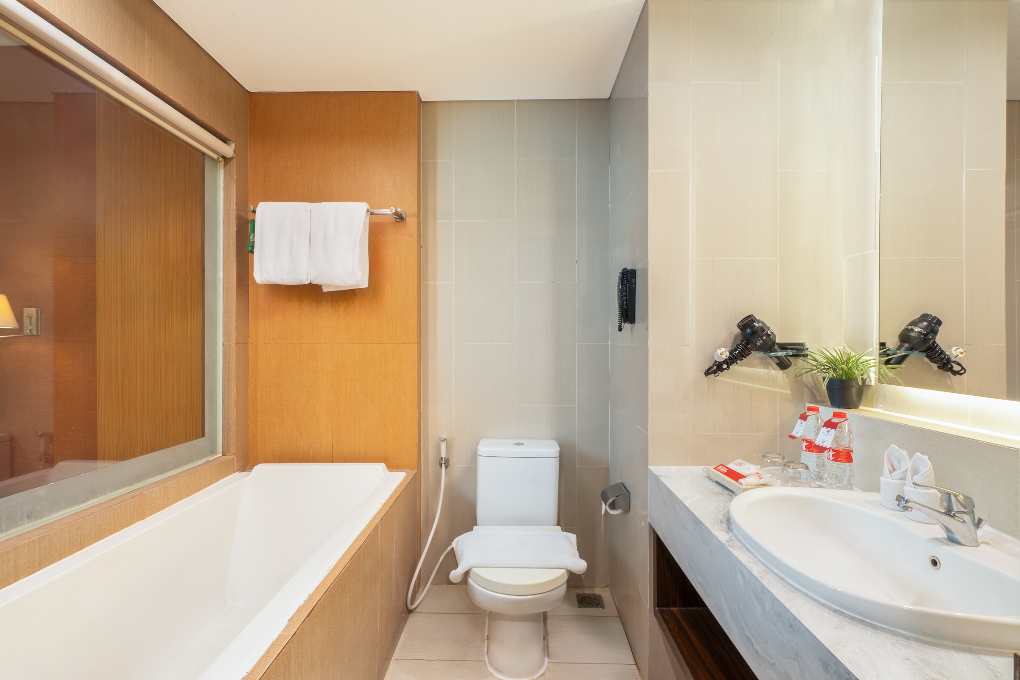 Room Deluxe Twin 1